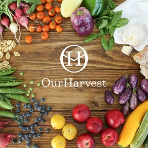 our harvest