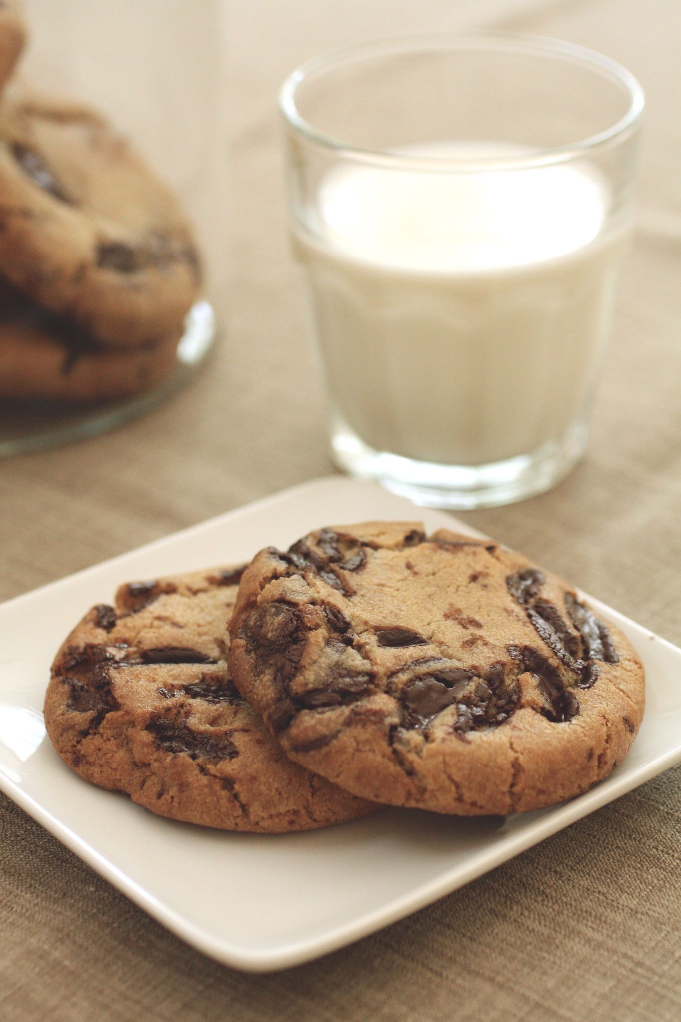 chocolate chip cookies with a glass of milk